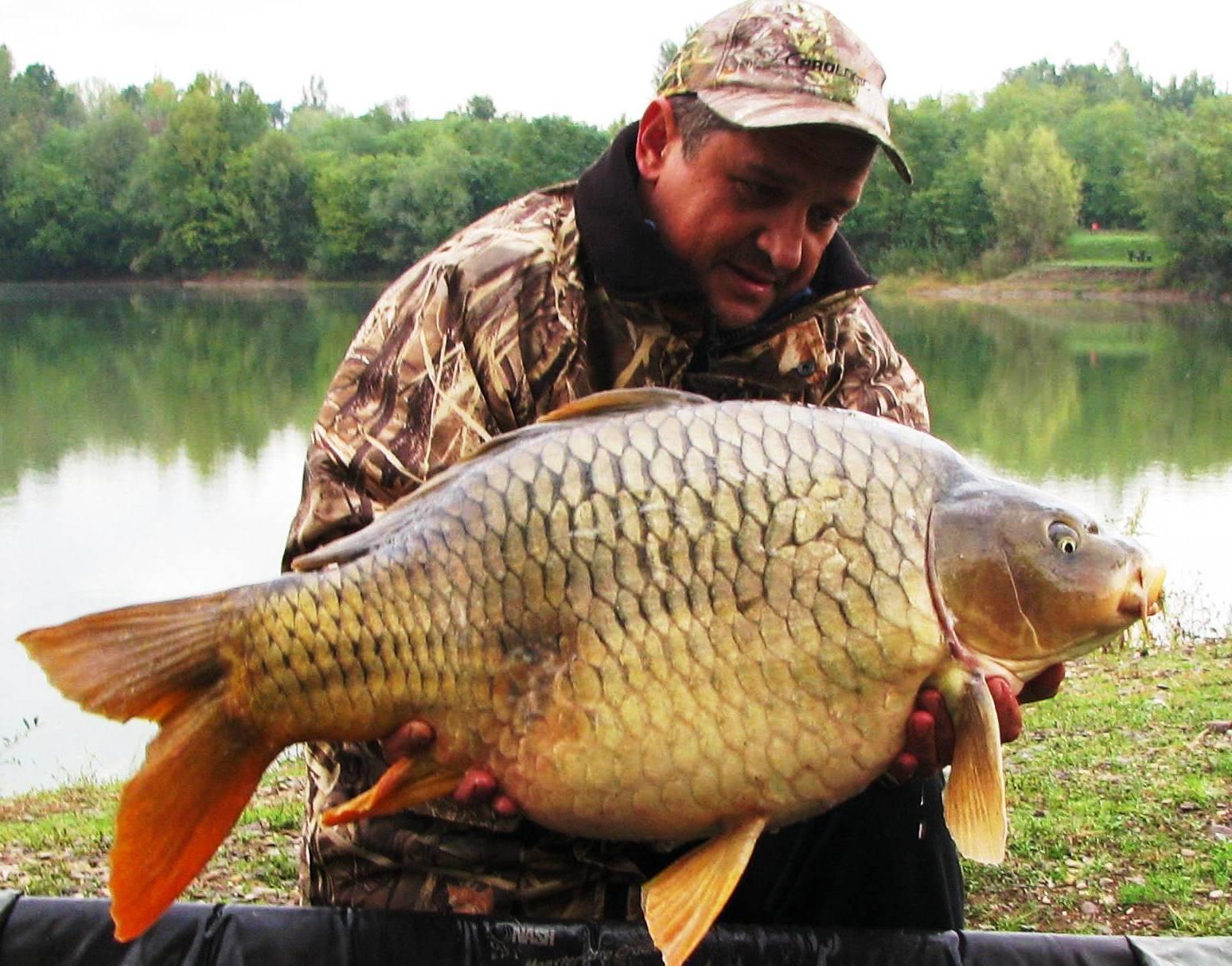 Balkan lake 29 sep. - 4 oct. - img0897.JPG